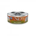Natural & Delicious Adult Cat Duck & Pumpkin 70g Wet Tin Food