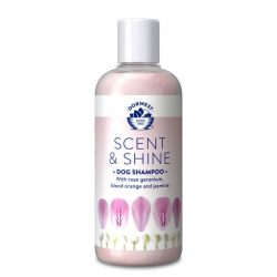 Dorwest Scent & Shine Shampoo 250ml