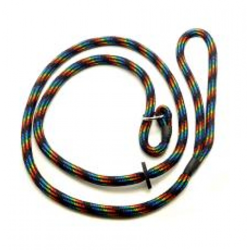 rainbow slip lead