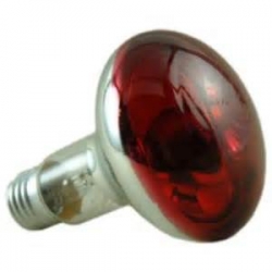 Infra Red Lamp screw fitting 250 Watt
