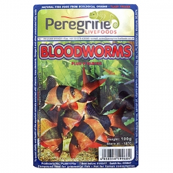 Frozen bloodworm Cubes 100g