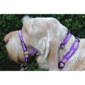 Dogmatic Head Collar Size 5 Purple