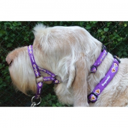 Dogmatic Head Collar Size 1/2" Purple