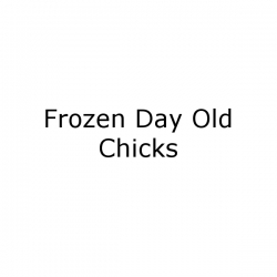 Frozen Day Old Chicks