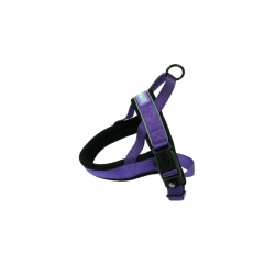 Hem And Boo Reflective & Padded Nylon Harness 1” X Chest 28”-36” (2.5 X 70-90cm) XXL Purple