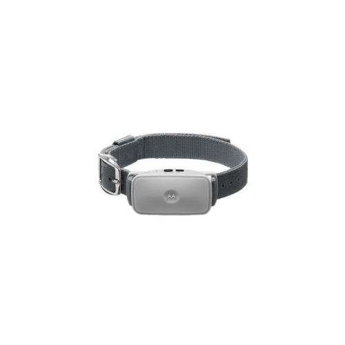 motorola anti bark collar