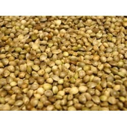 Hemp Seed 500g packed by Pets Pantry Johnston and Jeff