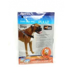 Ancol happy at heal harness and DVD size 8 - 9 x-large