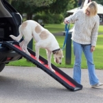 Henry Wag Lightweight Folding Dog Ramp